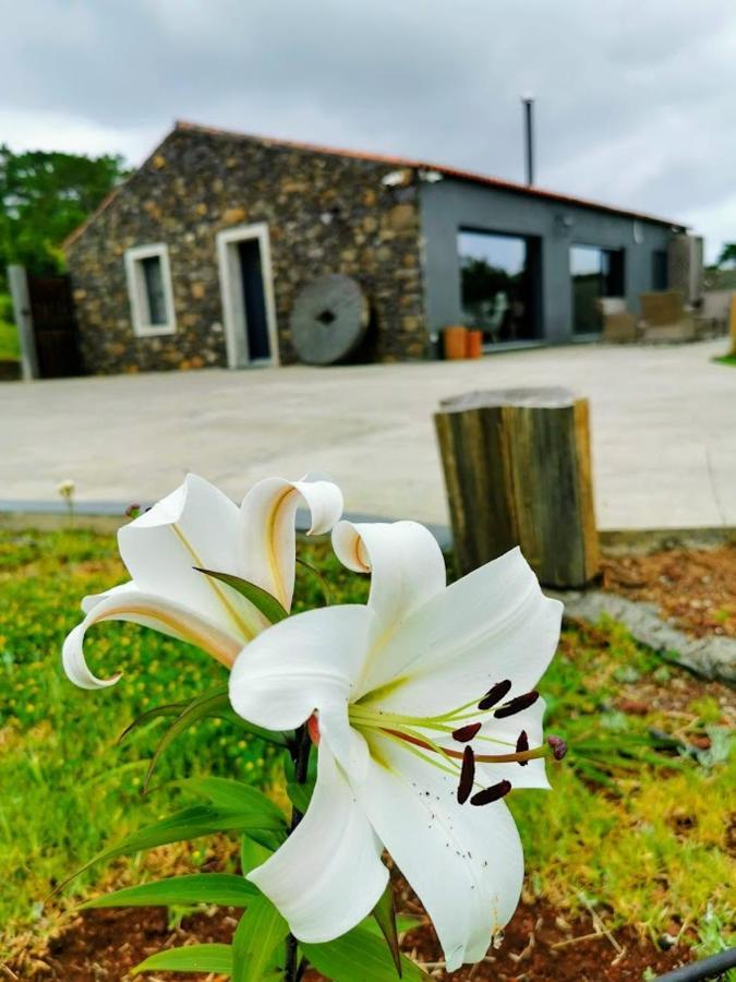 Quinta De Sao Jose Villa Sao Pedro  Exteriör bild