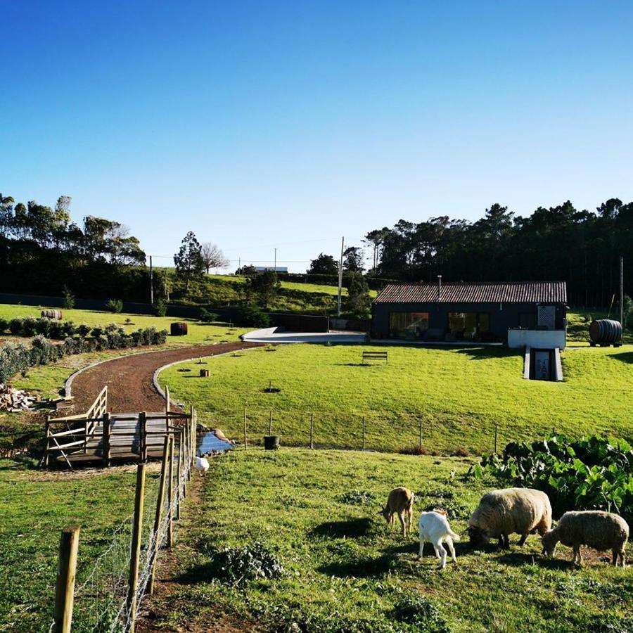 Quinta De Sao Jose Villa Sao Pedro  Exteriör bild