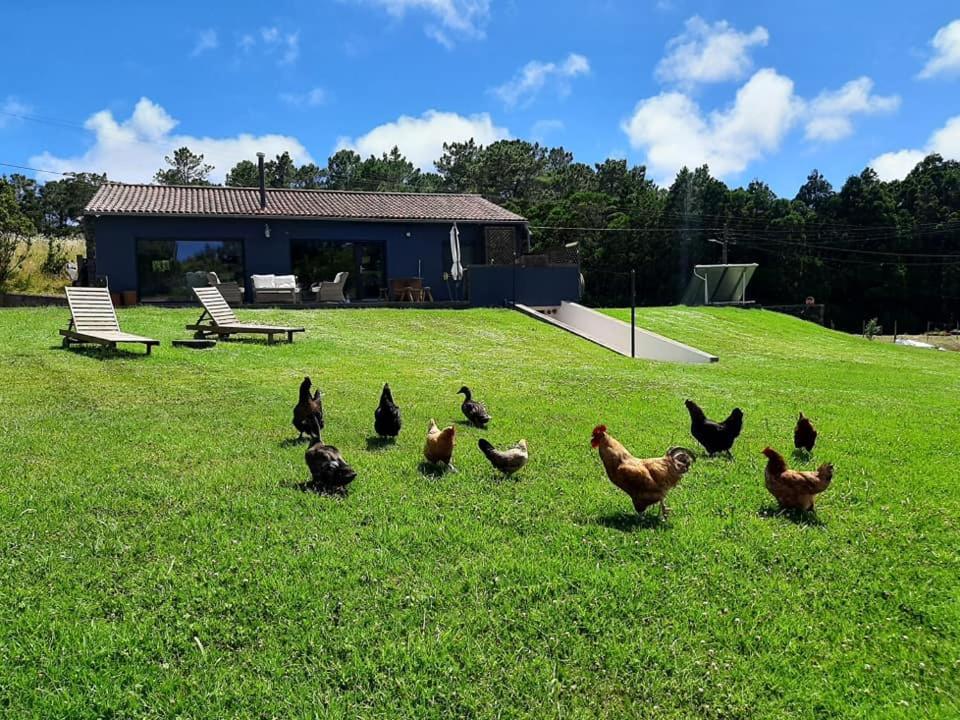 Quinta De Sao Jose Villa Sao Pedro  Exteriör bild